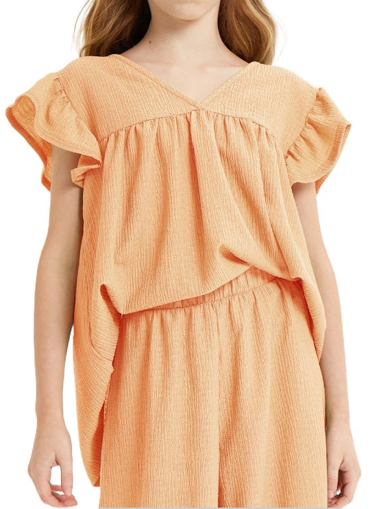 Girls V-Neck Ruffle Sleeves Crinkled Top