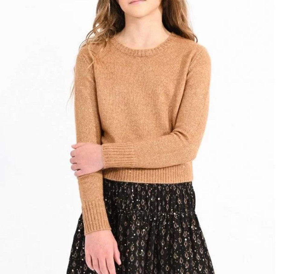 Girls Knitted Sweater with Iridescent Mesh