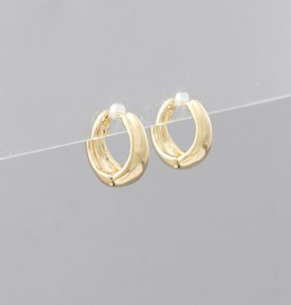 Hoop Earrings in Gold or Silver